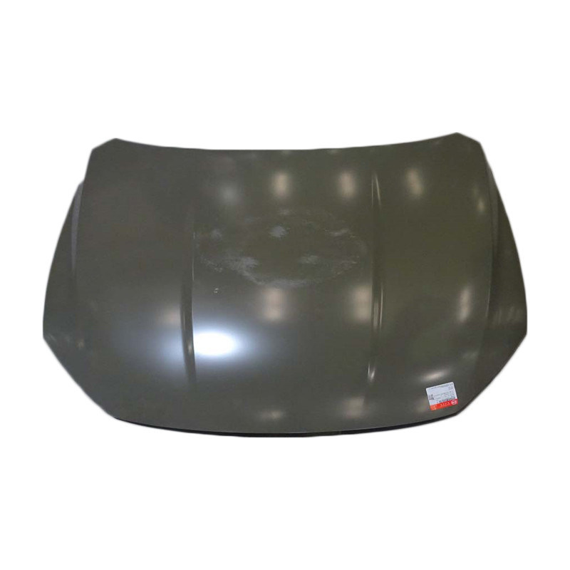 Couverture de moteur de voiture en acier personnalisée pour BYD QIN EV HDH-8402010/70 2013-